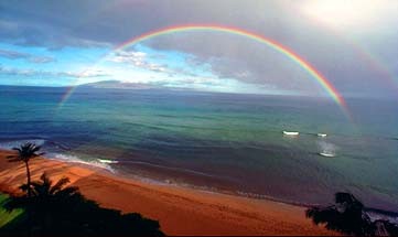 Rainbow Chow